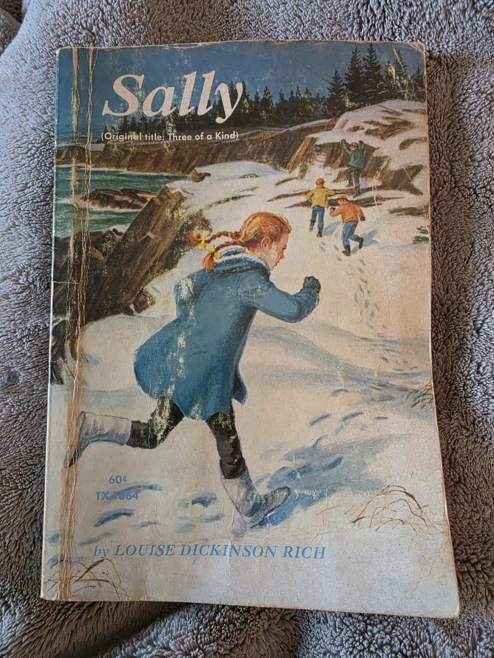 Children's Novel Sally by Louise Dickinson Rich